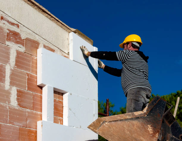 Best Commercial Insulation in Ozark, MO