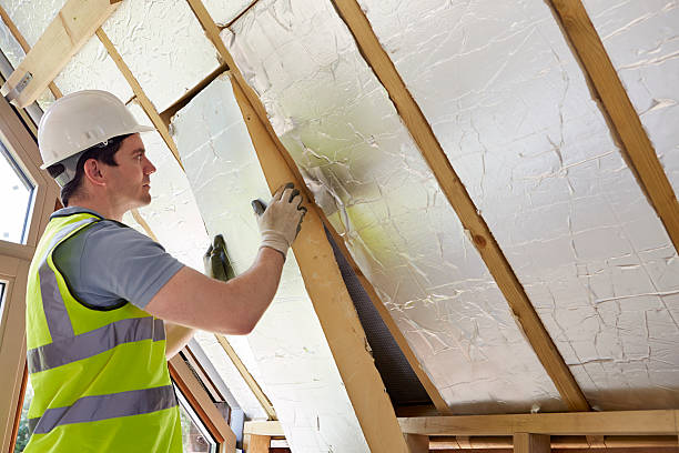 Best Specialized Insulation Services in Ozark, MO