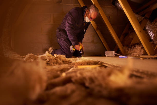 Best DIY Insulation Kits and Guidance in Ozark, MO